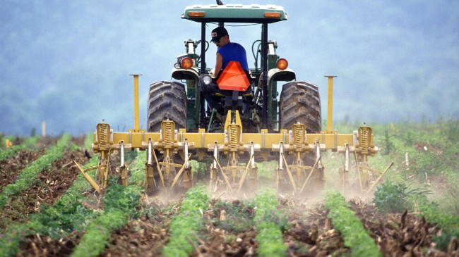 Tarım-ÜFE yıllık yüzde 151 arttı